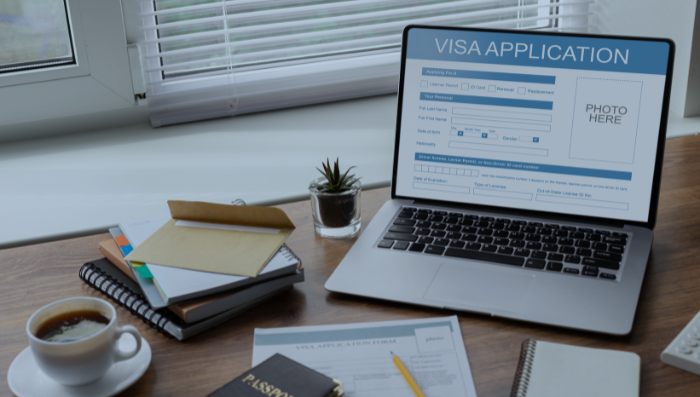 Visa management system