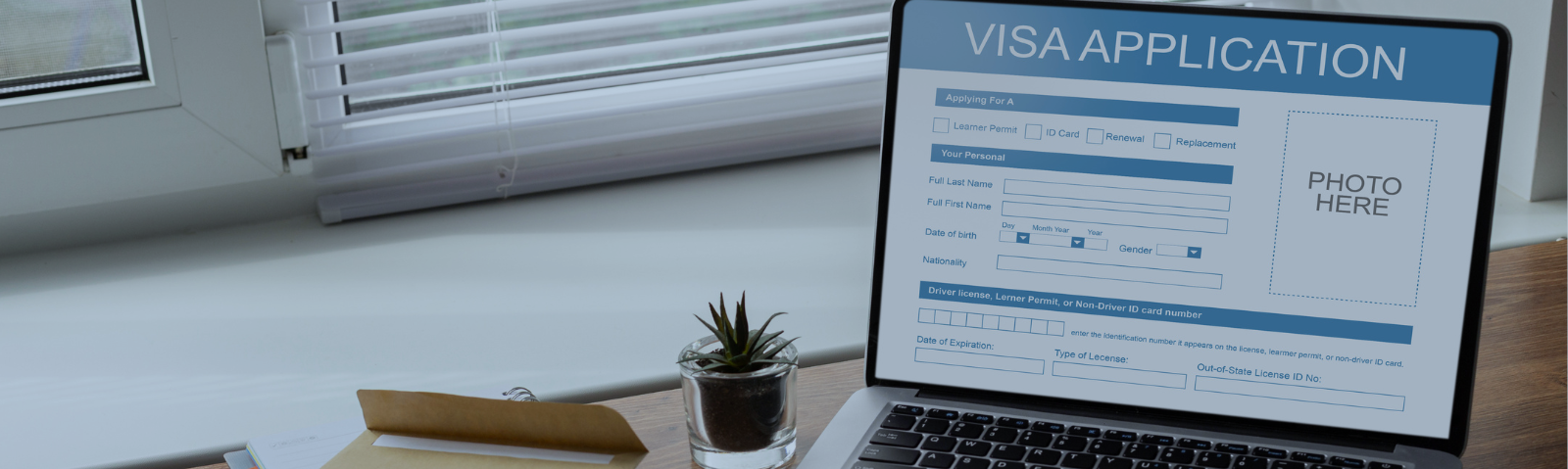 Visa management system